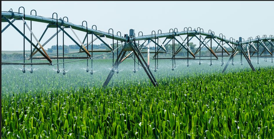 Grow Tech Agro Nig. Ltd | An Agro Alliance Company